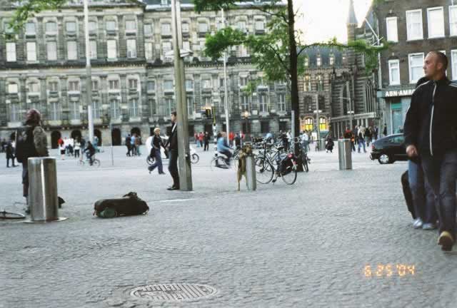 Homeless dog drinking out of a fountain!