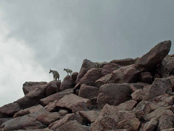 P7300453_edited-1