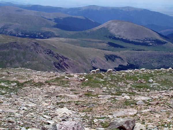 P7300459_edited-1