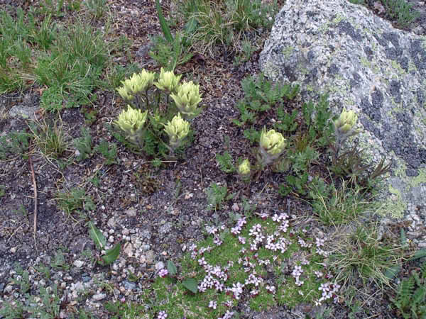 P7300468_edited-1