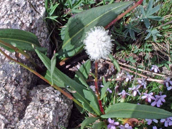 P7300479_edited-1