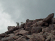 P7300453_edited-1