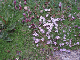 P7300467_edited-1