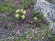 P7300468_edited-1