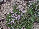 P7300474_edited-1