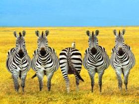 Dare to be Different