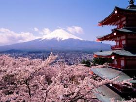 "Cherry Blossoms and Mount Fuji, Japan"  ImageState