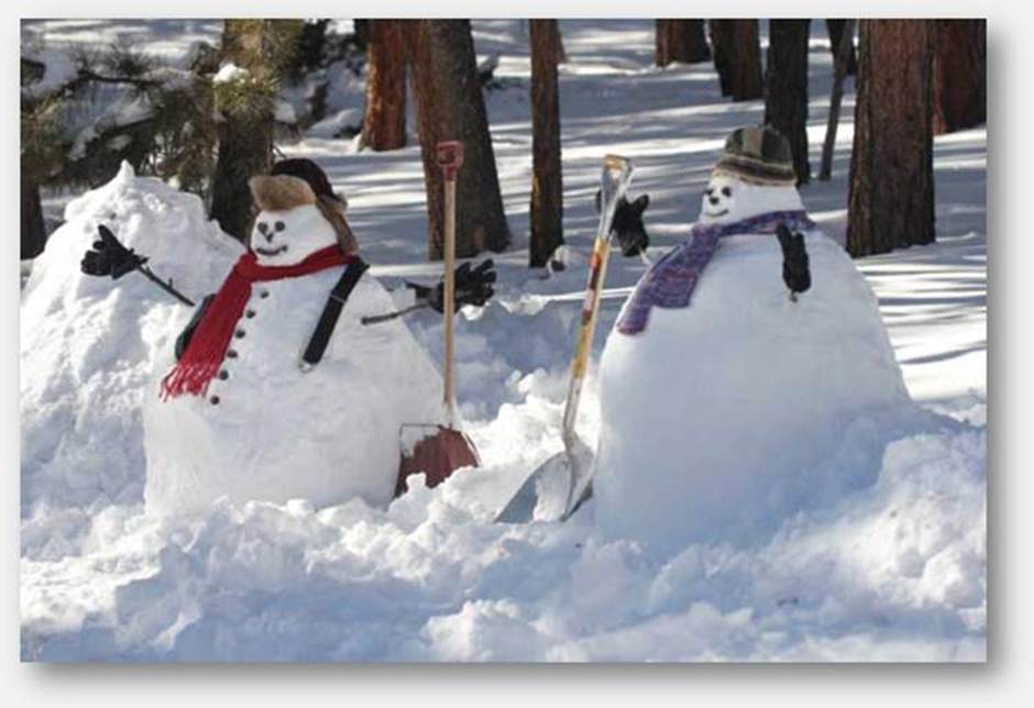 snowmen_Evergreen_Dec_2011-2.jpg