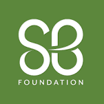 Image result for St. Baldricks Foundation
