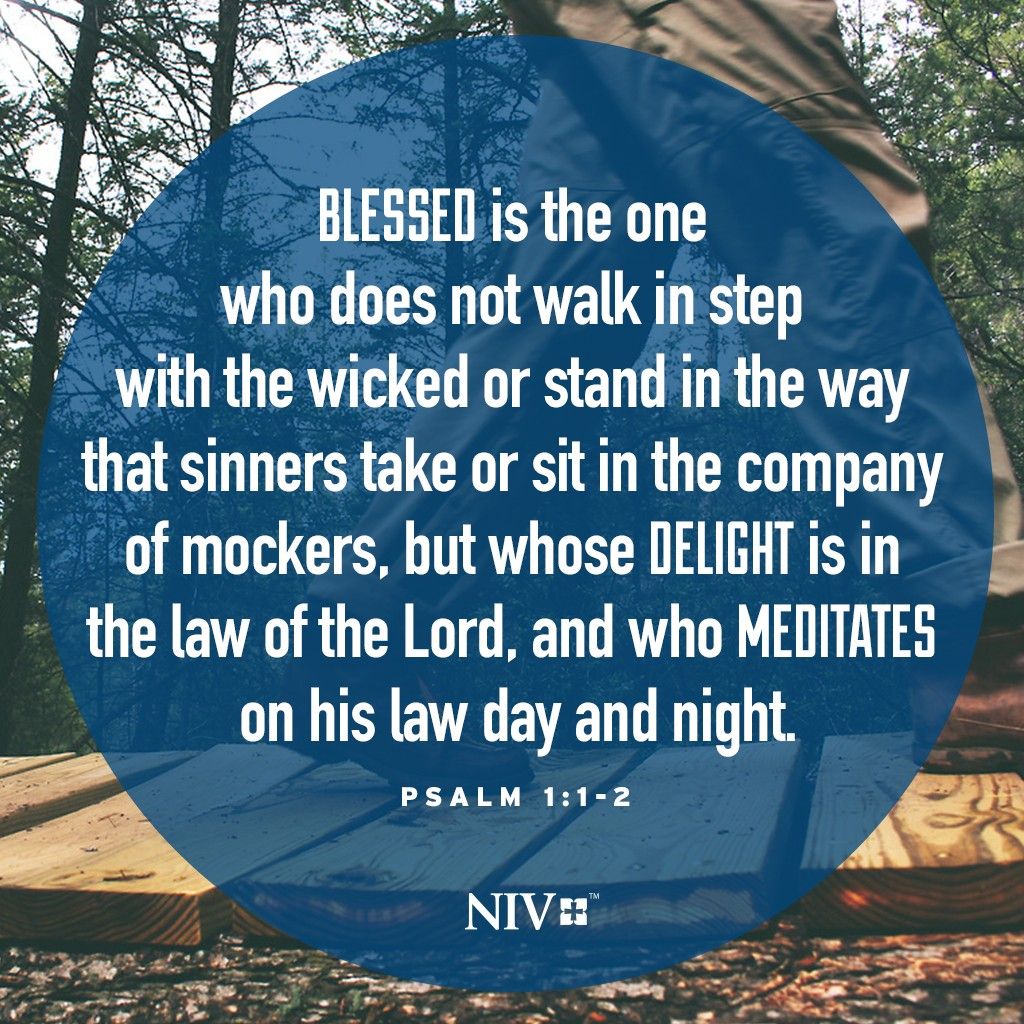 Image result for psalm 1