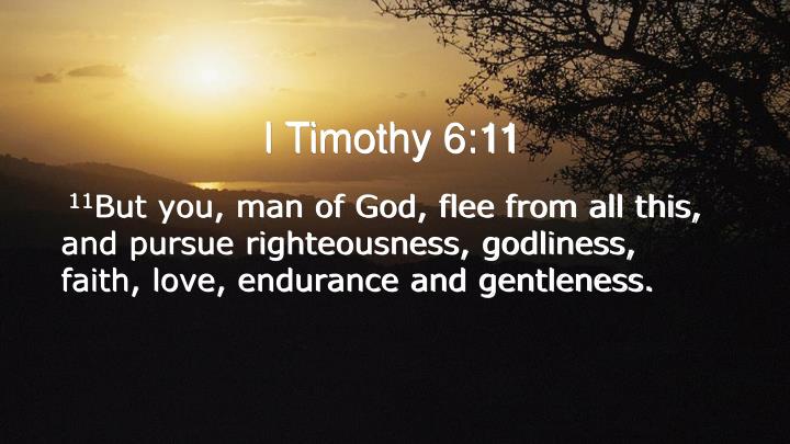 Image result for pursue righteousness, godliness, faith, love, endurance, gentleness