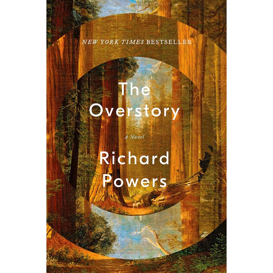 Image result for overstory by richard powers