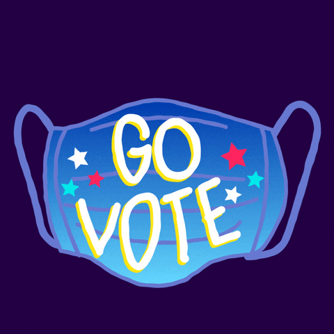 Voting Election 2020 GIF by #GoVote - Find & Share on GIPHY