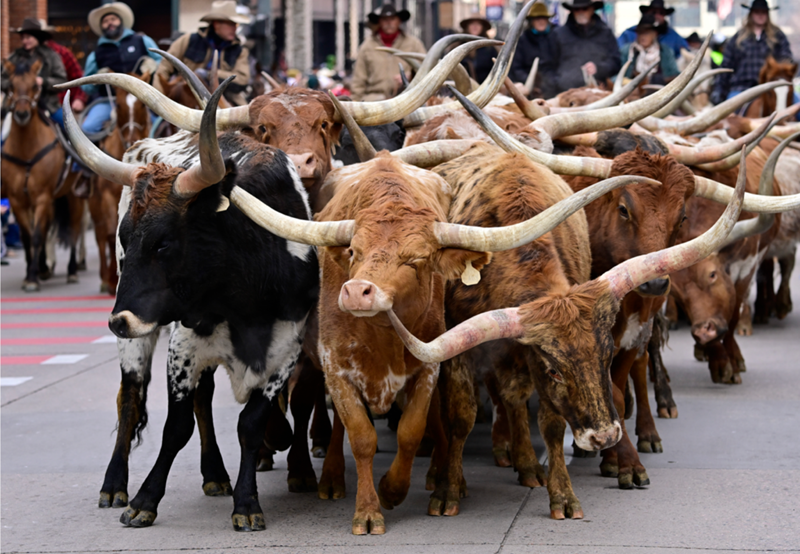 Screenshot 2024-01-06 at 3.19.16 PM.png