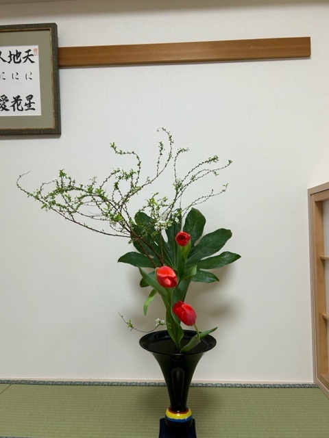IMG_6756.jpeg