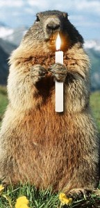 image011.jpg
