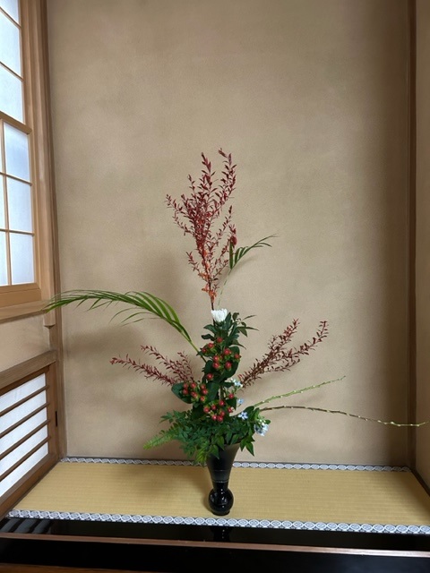 IMG_7608.jpeg