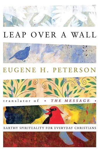 Leap Over a Wall : Earthy Spirituality for Everyday Christians.jpeg